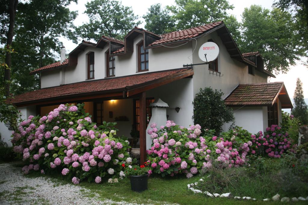 Beta Home Sapanca Room photo
